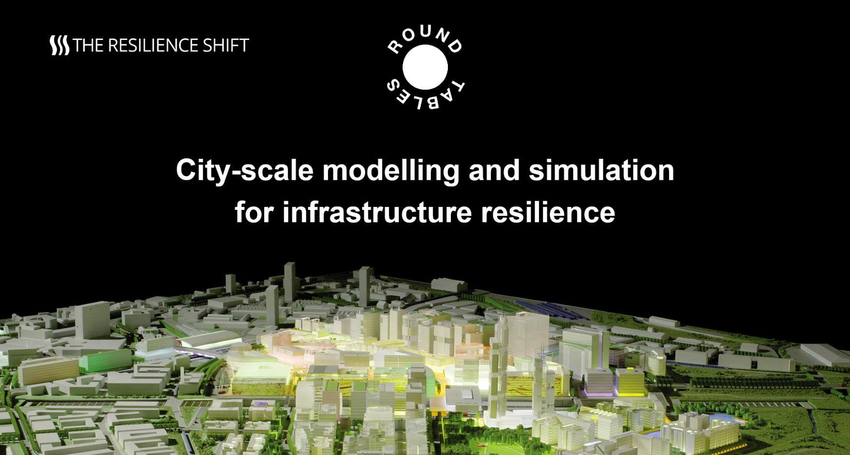 City-scale modelling and simulation for infrastructure resilience round-table City-scale modelling and simulation for infrastructure resilience round-table